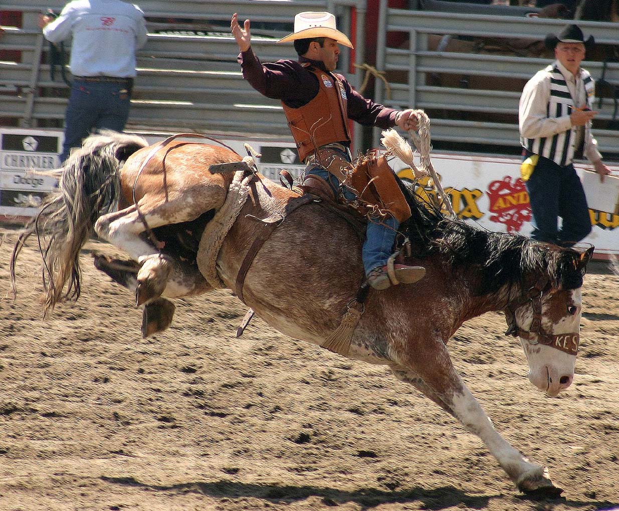 cloverdalerodeo_4836.jpg