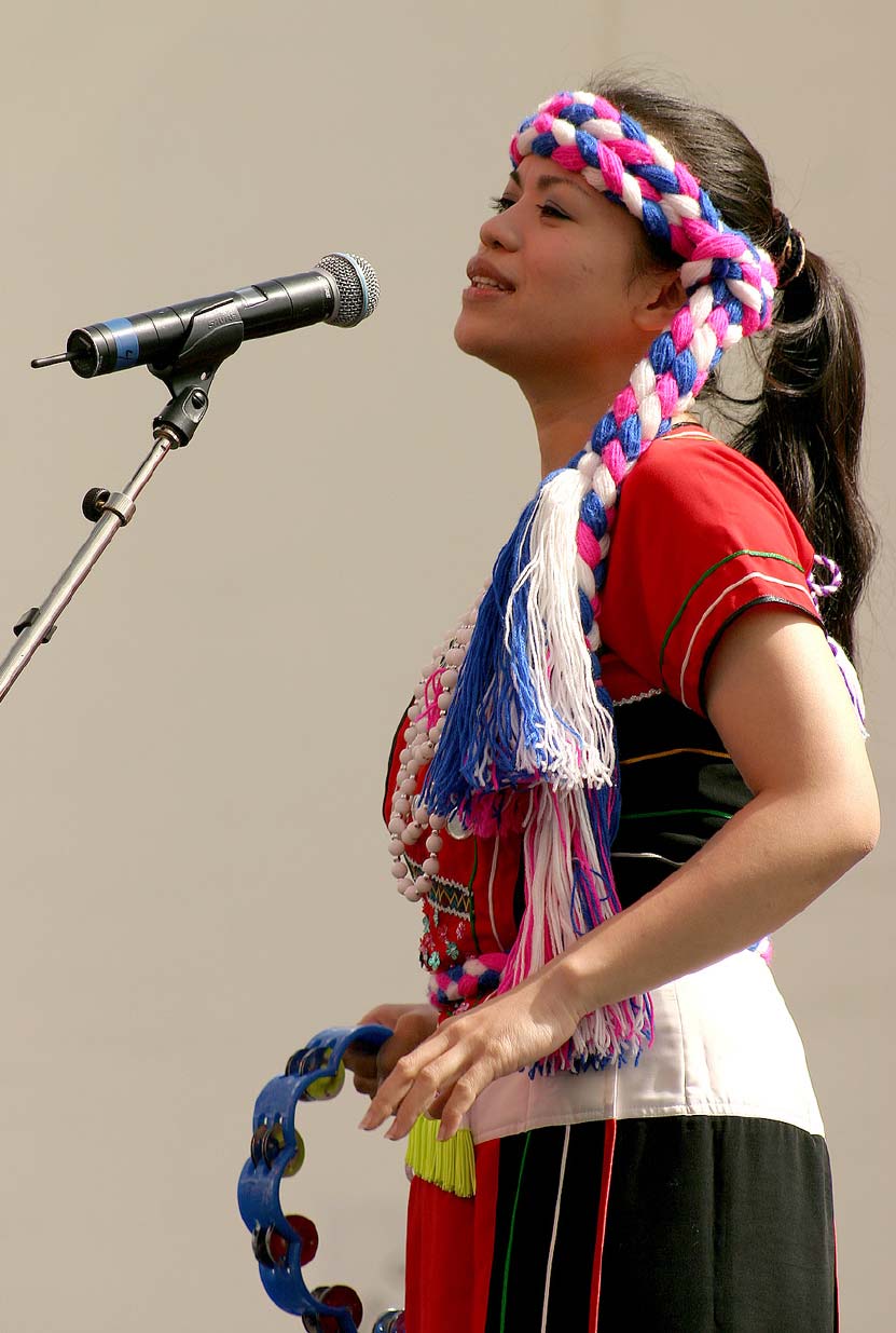 taiwanfest_7810.jpg