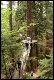 Capilano08.jpg