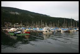 DEEPCOVE_8492.jpg