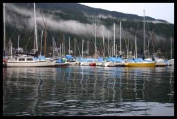 DEEPCOVE_8500.jpg