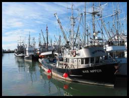 Steveston_5154.jpg